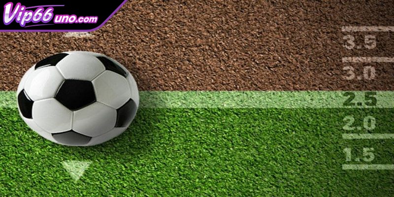 Cách đọc kèo tài xỉu là kiến thức quan trọng cần phải biết