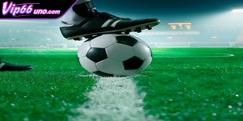 Điểm danh cách đọc kèo tài xỉu phổ biến hiện nay