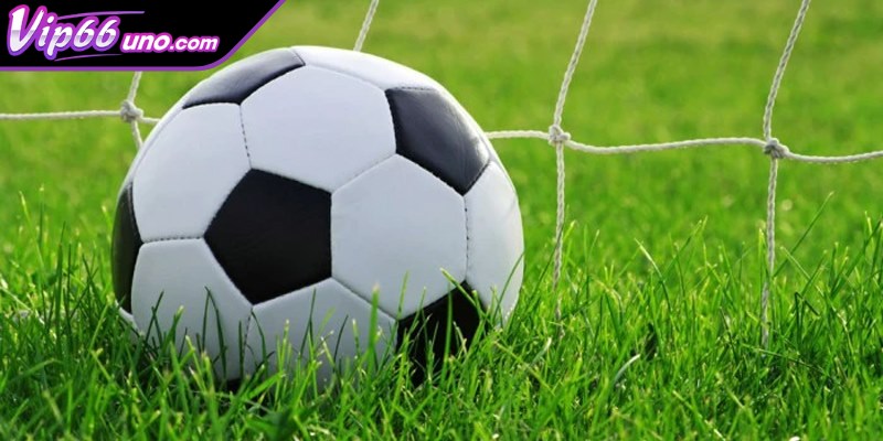 Chiến thuật gấp thếp phù hợp cho việc phát triển lợi nhuận theo chiều dài thời gian